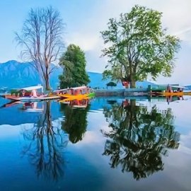 Kashmir